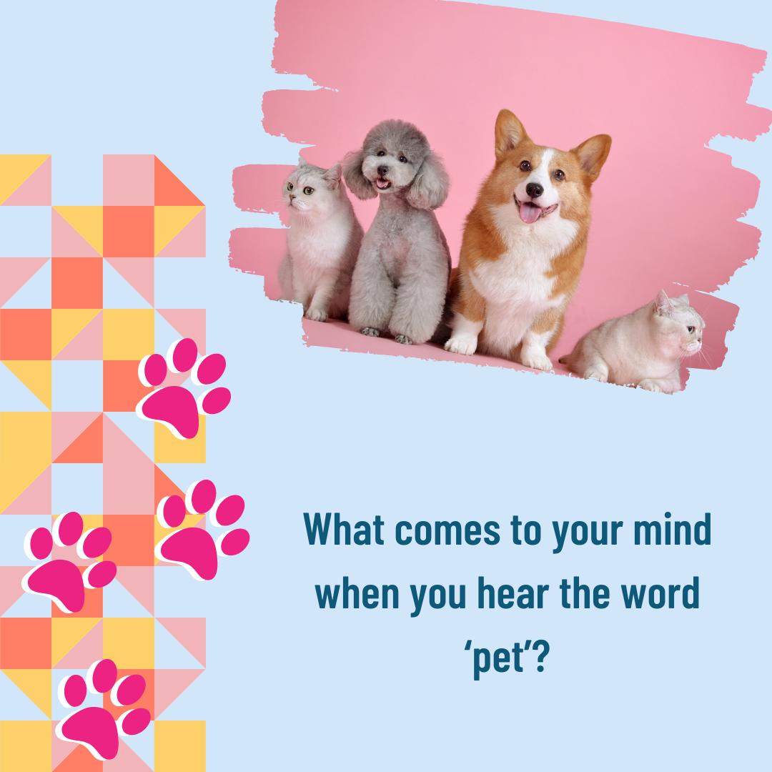 Pet Care Survey QuestionsFree Instagram Post Template