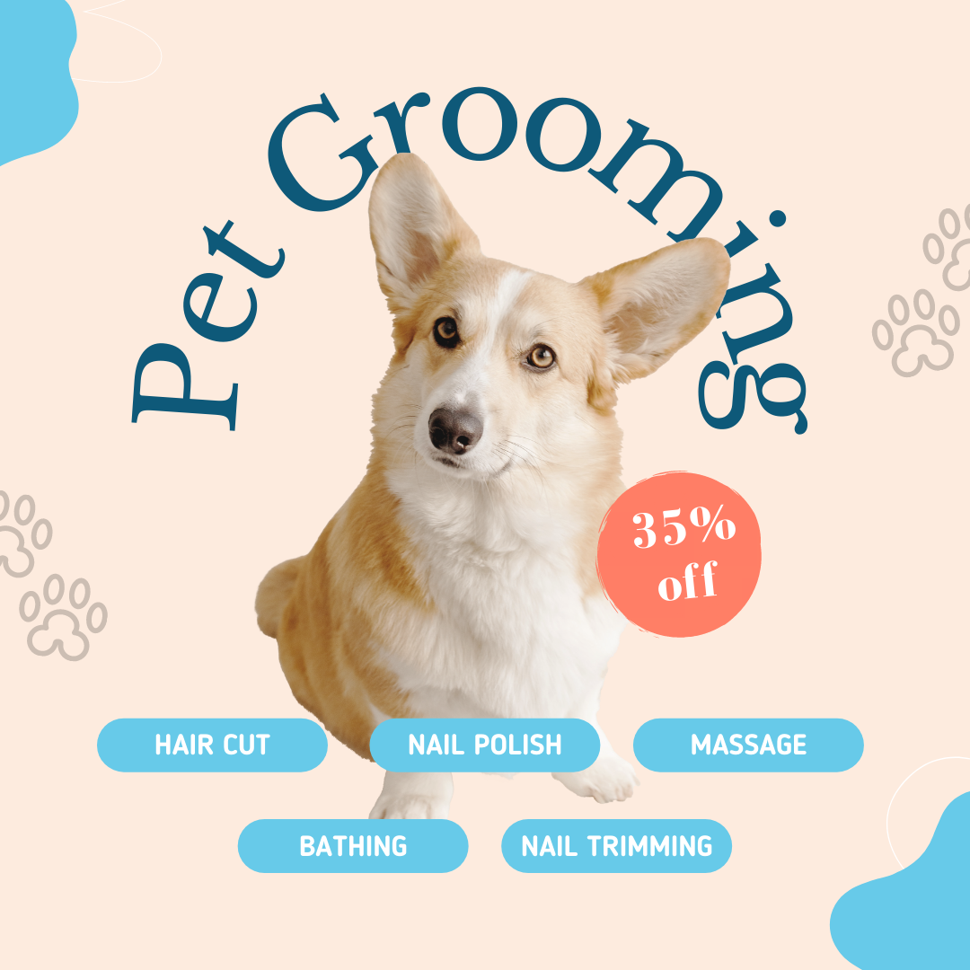 Free Pet Grooming Service Instagram Post Template