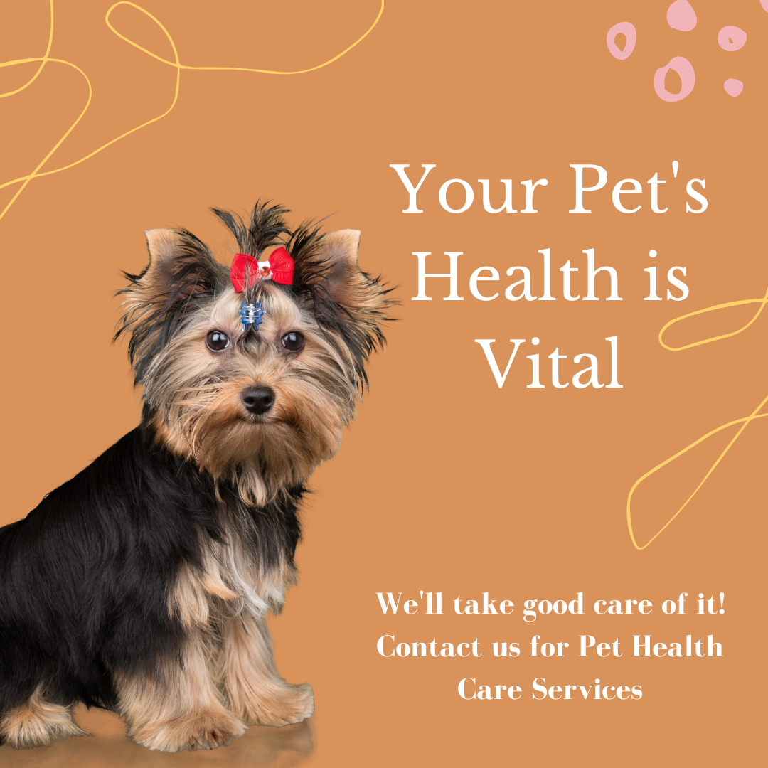 Free Pet Health Care Instagram Post Template