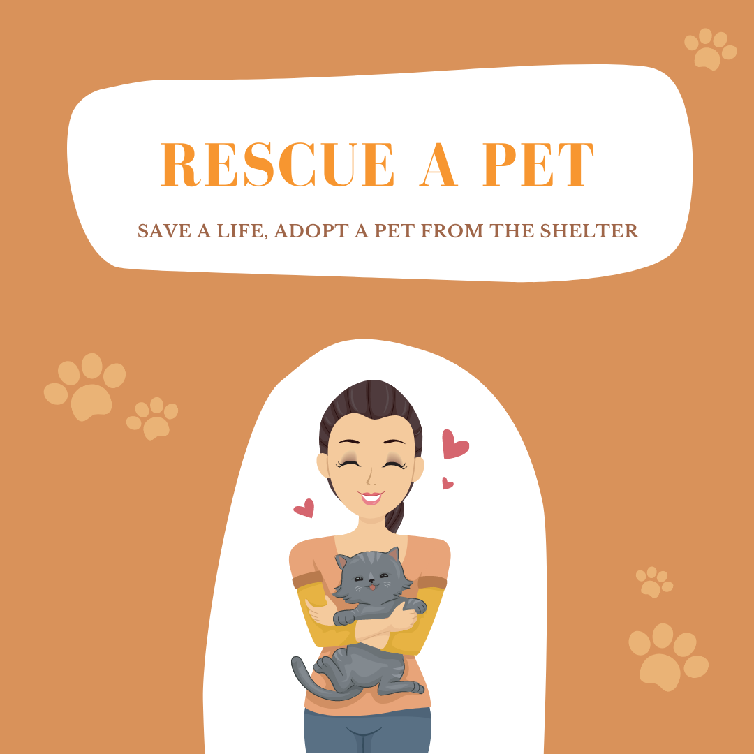 Free Pet Rescue Instagram Post Template